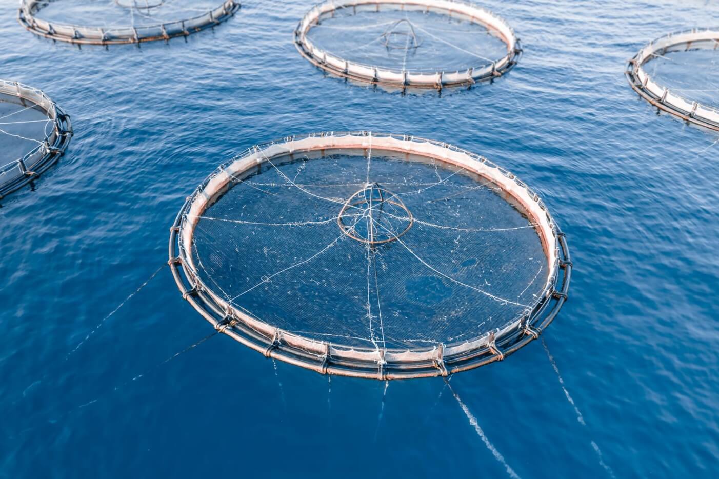 海洋养殖笼框架