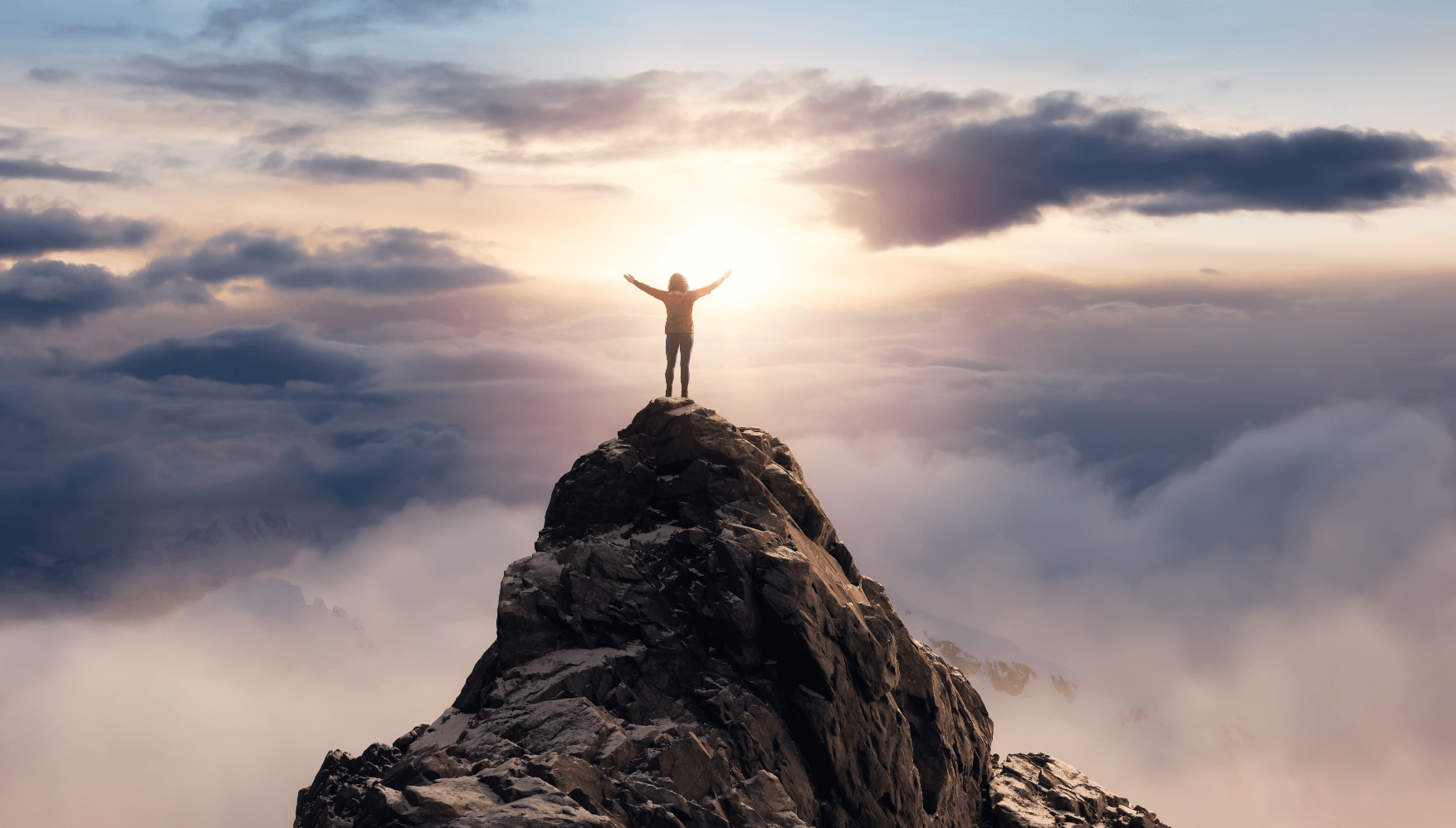 用专业服务客户